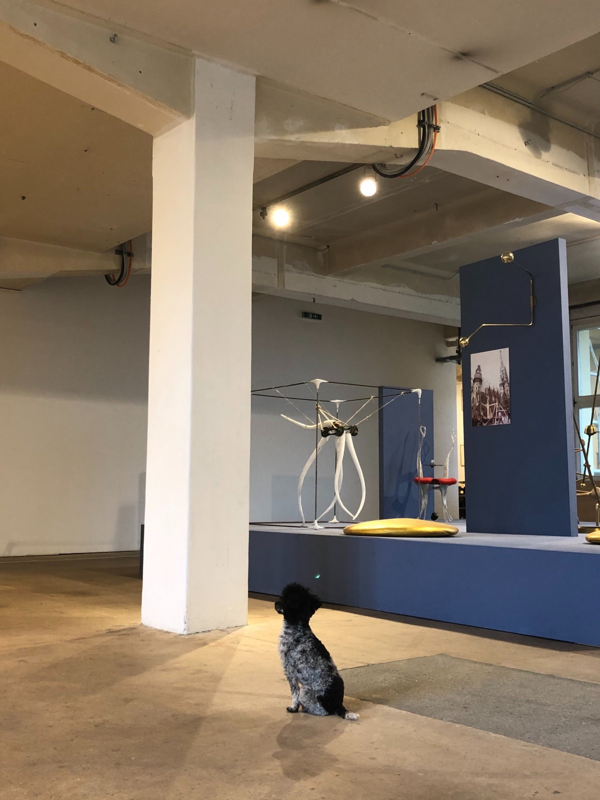 Intervention der Studierenden in die Ausstellung im Künstlerhaus 1050 im Herbst 2019.