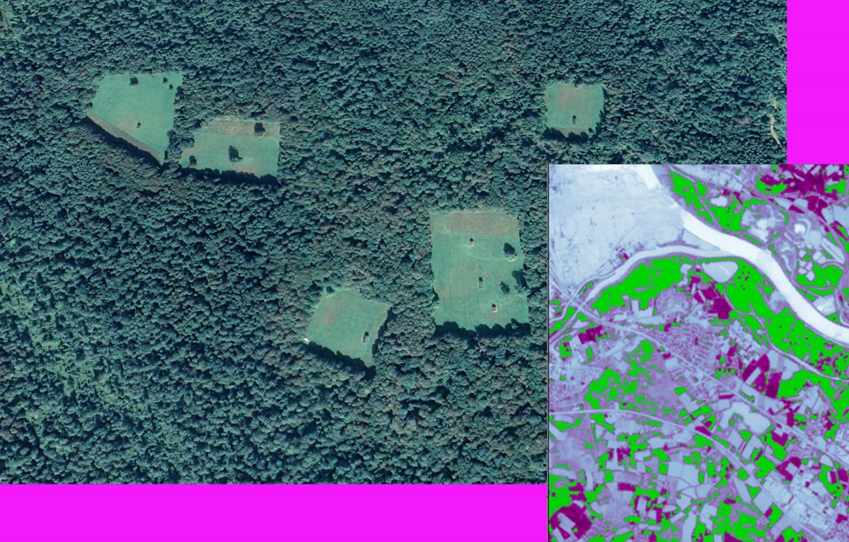 final_kub_wald_03_2023